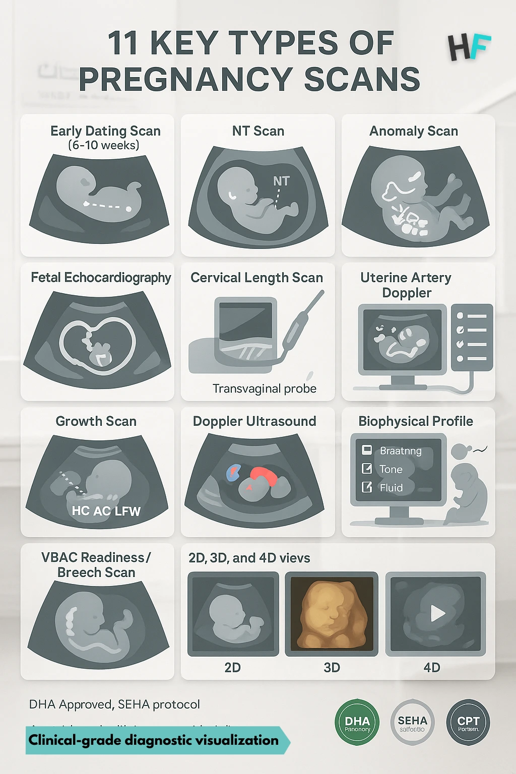 11 key types of pregnancy scans