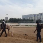 Al Wassila Center for Speech and Rehabilitation