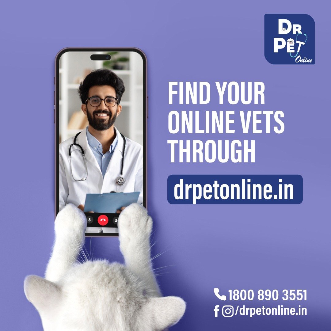 DrPET Online Comsultation