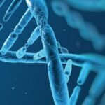 Abu Dhabi Stem Cells Center(ADSCC)