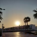 Akoya Oxygen by DAMAC