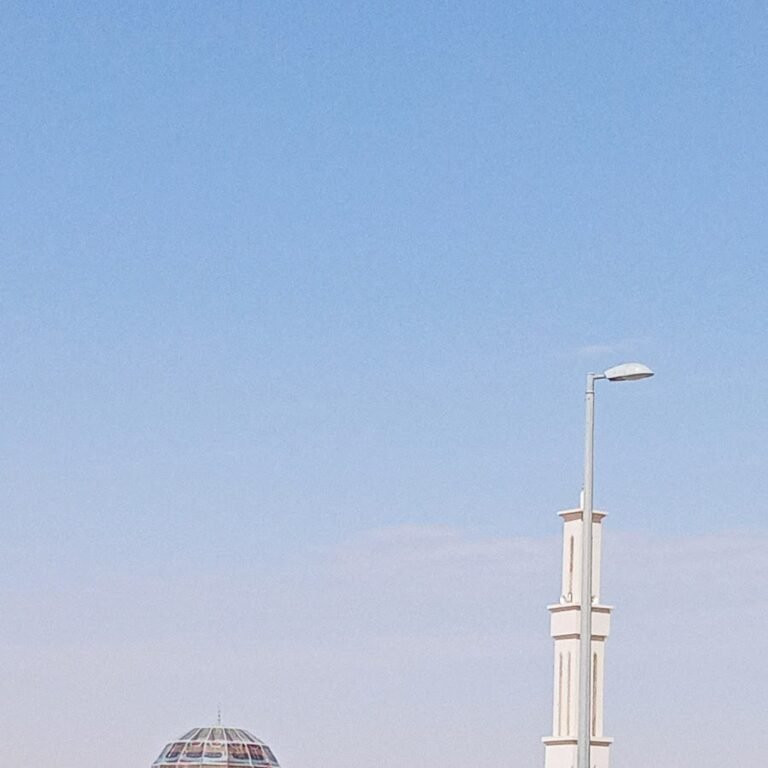 Al Dhafra Hospitals Administration