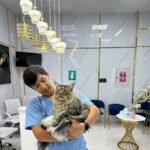 Al furjan vet clinic