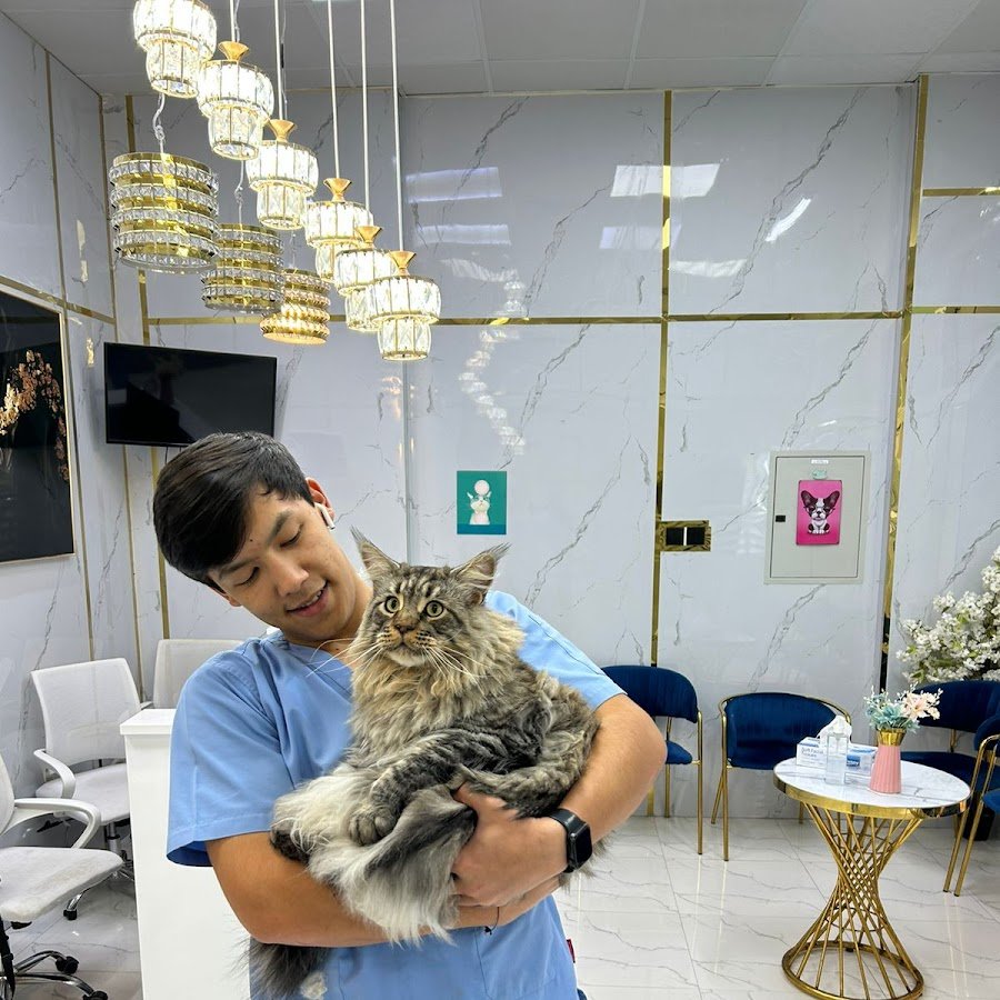 Al furjan vet clinic