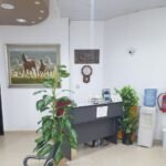 Al Mansour Medical Center