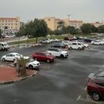 Aphasia Harmony, Speech and language Therapy