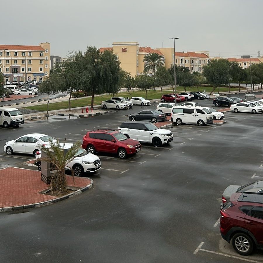 Aphasia Harmony, Speech and language Therapy