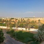 College Of Medicine and Health Sciences