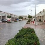 DAMAC Hills 2 – Basswood