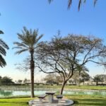 DHA – Jebel Ali Emergency Centre