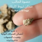 Dr. Amr urology clinic