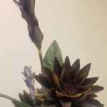 Dr Harsha Orthodontist – Braces at AED499