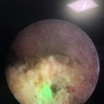 Dr Satyabrata Garanayak