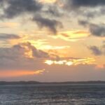 EHS CENTRAL MEDICAL SUPPLY AND STORES