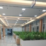 Emirates Health Services Abu Dhabi – Trusted Public Health & Visa Medical Experts