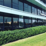 Garden OB/GYN Garden City