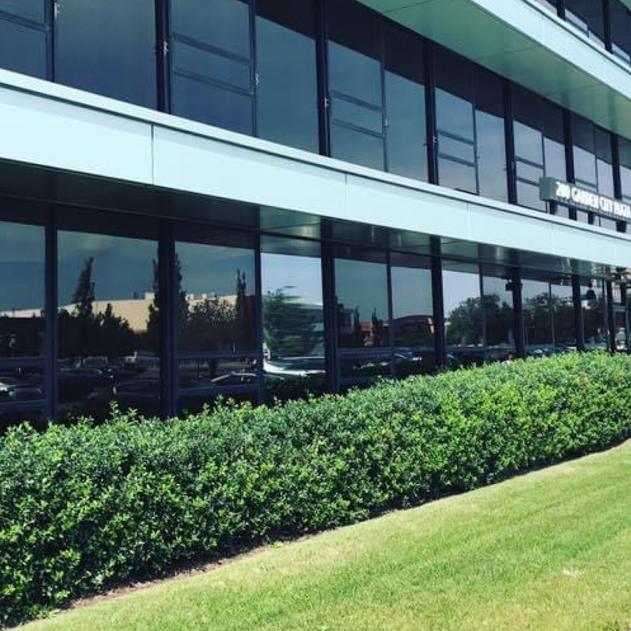 Garden OB/GYN Garden City