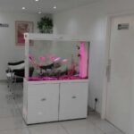 Health Family Clinic- Dubai