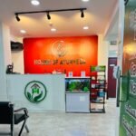 HOUSE OF AYURVEDA CLINIC UAE