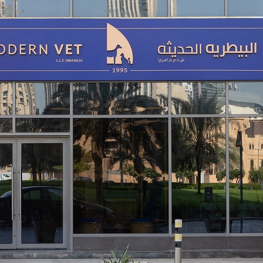 Modern Vet Downtown