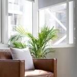 Nafsology Psychology Center DMCC