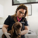 Noble Veterinary Clinic JLT