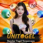 Prof Dr. Robert Hierner