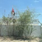 SEHA Visa Medical Shahama