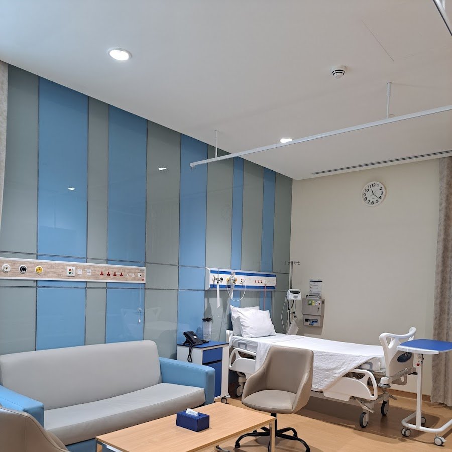 The American European Plastic Surgery Clinic