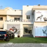 The City Vet Clinic – Al Wasl Branch