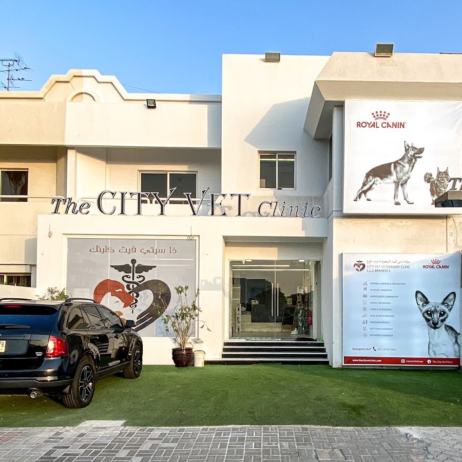 The City Vet Clinic – Al Wasl Branch