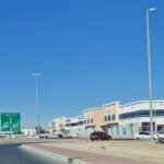 Trust Vision Investment L.L.C