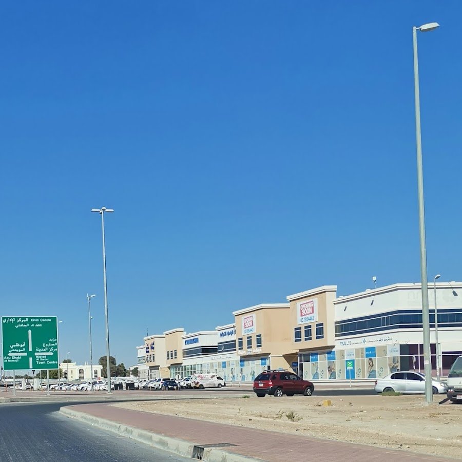 Trust Vision Investment L.L.C