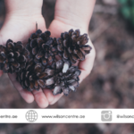 Wilson Child Development Centre