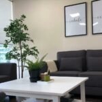 Wise Mind Psychotherapy Center LLC