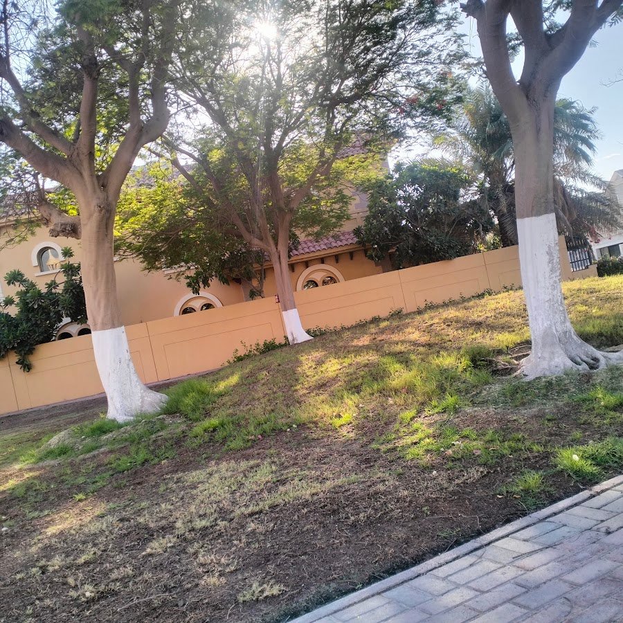 Wr 07 falcon city of wonders