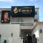 Emora Poly Clinic L.L.C