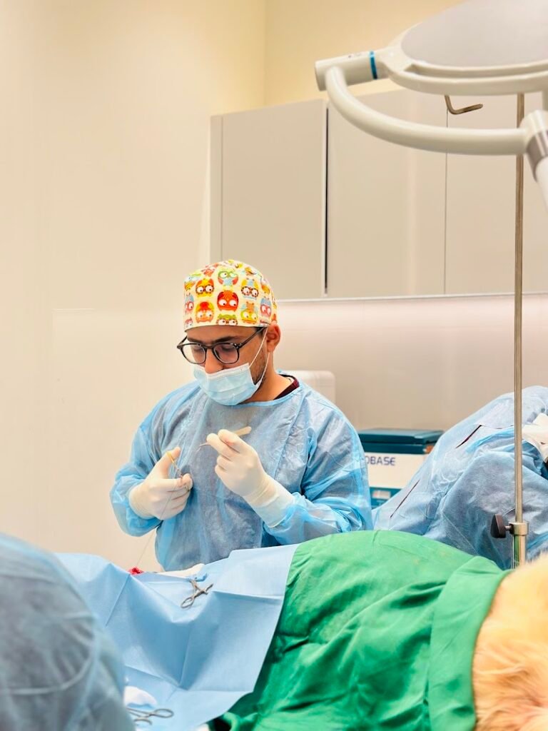 VIDA VET – Veterinary Clinic, Full Pet Health Care, Emergency Care 24/7