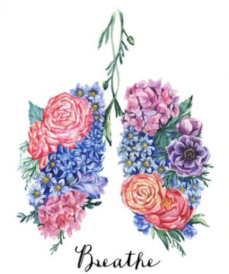 Pulmonary Care Clinic الامراض الصدريه Dr Sherif Fayed