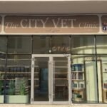 The City Vet Clinic – Meydan Branch