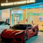 Pet Paradise Vet Clinic عيادة جنة الحيوانات الأليفة البيطري