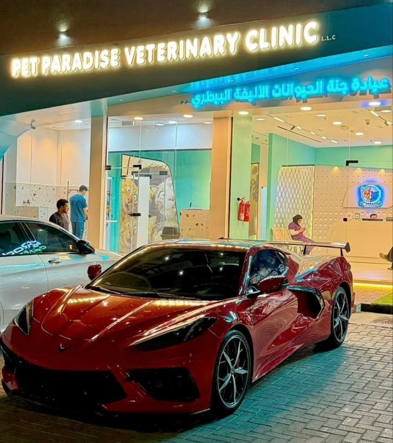 Pet Paradise Vet Clinic عيادة جنة الحيوانات الأليفة البيطري